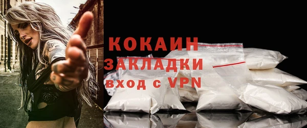 ECSTASY Ельня