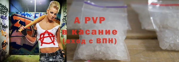 ECSTASY Ельня