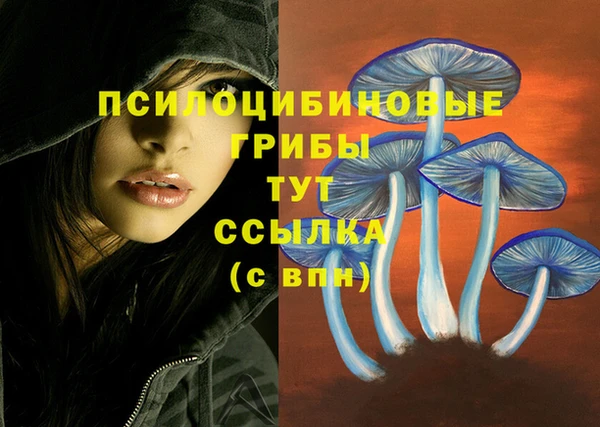 МДМА Елабуга