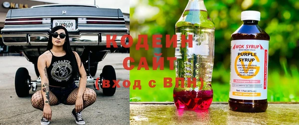 ECSTASY Ельня