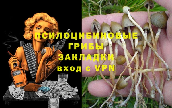 спиды Елизово
