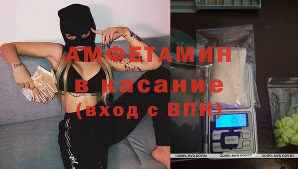 ECSTASY Ельня