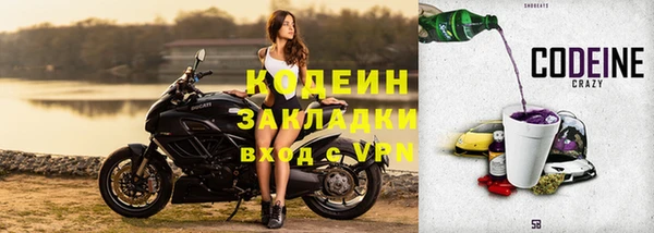 ECSTASY Ельня