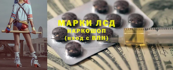 ECSTASY Ельня