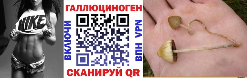 Купить  Олёкминск  Псилоцибиновые грибы мухоморы 